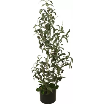 EUROPALMS Künstlicher Olivenbaum, 90 cm 82506422