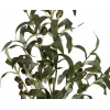 EUROPALMS Künstlicher Olivenbaum, 90 cm 82506422