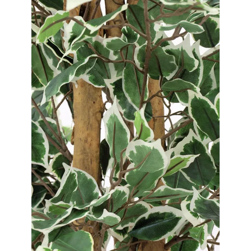 EUROPALMS Silberficus Benjamina Kunstpflanze, 180 cm 82506116