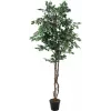 EUROPALMS Silberficus Benjamina Kunstpflanze, 180 cm 82506116