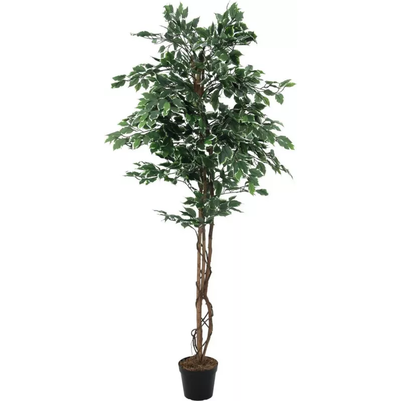 EUROPALMS Silberficus Benjamina Kunstpflanze, 180 cm 82506116