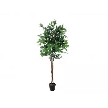 EUROPALMS Ficus Benjamina Mehrstämmige Kunstpflanze, 210cm 82506127
