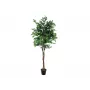 EUROPALMS Ficus Benjamina Mehrstämmige Kunstpflanze, 210cm 82506127