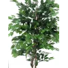 EUROPALMS Ficus Benjamina Mehrstämmige Kunstpflanze, 210cm 82506127