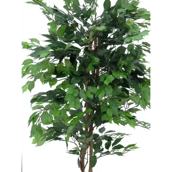 EUROPALMS Ficus Benjamina Mehrstämmige Kunstpflanze, 210cm 82506127