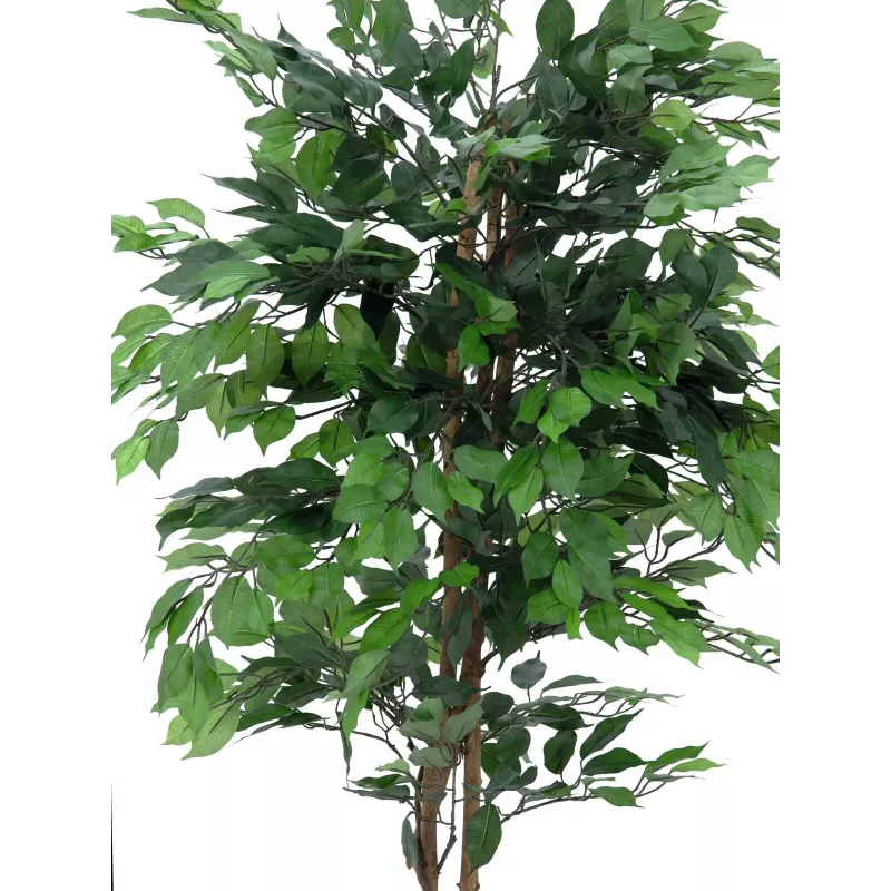 EUROPALMS Ficus Benjamina Mehrstämmige Kunstpflanze, 210cm 82506127