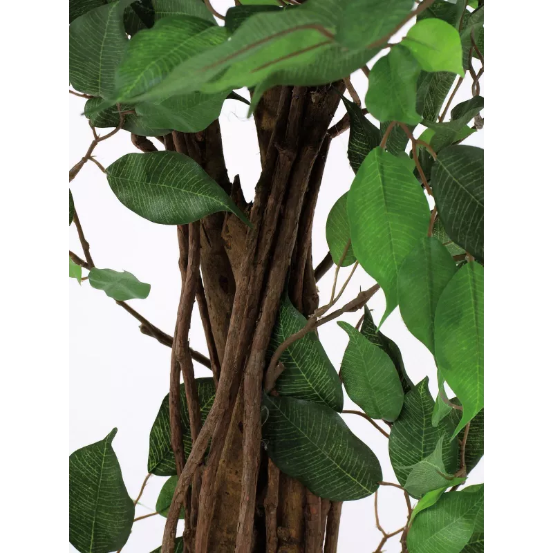 EUROPALMS Ficus Benjamina Mehrstämmige Kunstpflanze, 210cm 82506127