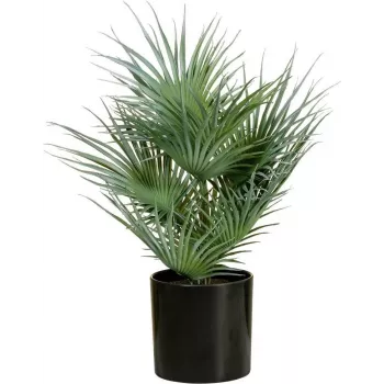 EUROPALMS Künstliche Fächerpalme im Topf, 55 cm 82509401