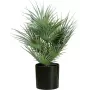 EUROPALMS Künstliche Fächerpalme im Topf, 55 cm 82509401