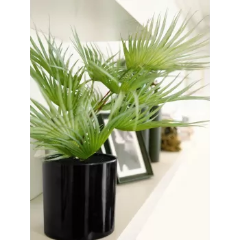 EUROPALMS Künstliche Fächerpalme im Topf, 55 cm 82509401