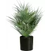 EUROPALMS Künstliche Fächerpalme im Topf, 55 cm 82509401