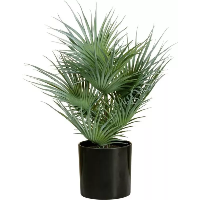 EUROPALMS Künstliche Fächerpalme im Topf, 55 cm 82509401