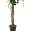 EUROPALMS Goldregen Künstliche Pflanze, Weiß, 150cm (82507105)