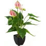 EUROPALMS Künstliche Anthurie, Weiß-Pink 82540348