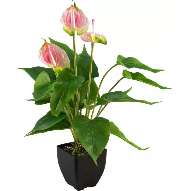 EUROPALMS Künstliche Anthurie, Weiß-Pink 82540348