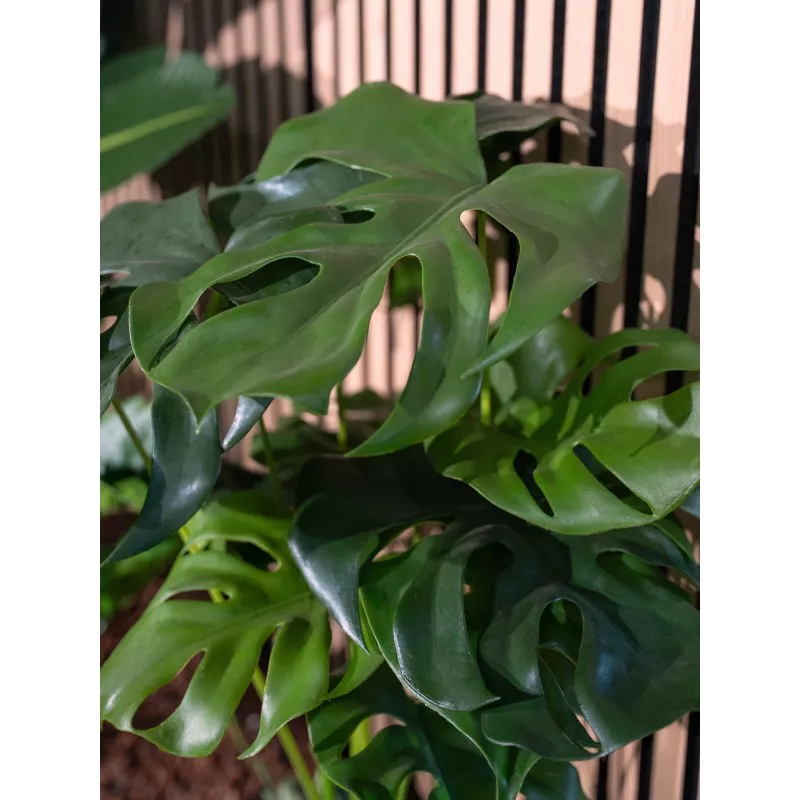 EUROPALMS Monstera deliciosa Kunstpflanze, 90cm 82600220
