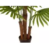 EUROPALMS Künstliche Fächerpalme, 165 cm 82509305