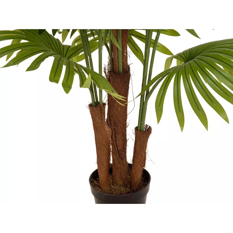 EUROPALMS Künstliche Fächerpalme, 165 cm 82509305