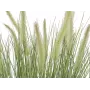 EUROPALMS Blühendes künstliches Ziergras, 70cm, weiße Blüten, schwarzer Topf 82600147
