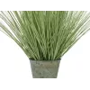 EUROPALMS Blühendes künstliches Ziergras, 70cm, weiße Blüten, schwarzer Topf 82600147