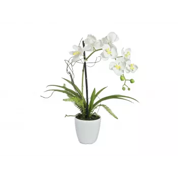 EUROPALMS Künstliche Orchideenarrangement 1, im Topf, Weiß-Rosa, 60 cm 82530346