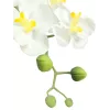 EUROPALMS Künstliche Orchideenarrangement 1, im Topf, Weiß-Rosa, 60 cm 82530346