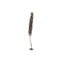 EUROPALMS Cacho Coco Künstliche Kokospalme, 120-190 cm, Echter Holzstamm, 12 Wedel, Indoor 83502349