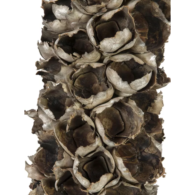 EUROPALMS Cacho Coco Künstliche Kokospalme, 120-190 cm, Echter Holzstamm, 12 Wedel, Indoor 83502349
