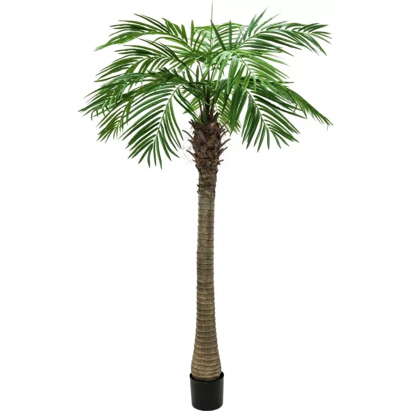EUROPALMS Luxor Künstliche Phoenixpalme, 150 cm, Grün 82510720