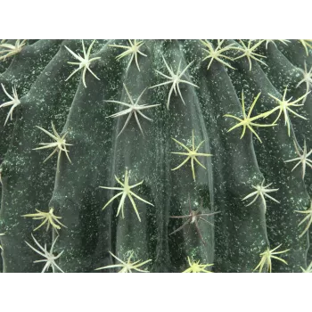 EUROPALMS Künstlicher Kugelkaktus, 34 cm 82600063