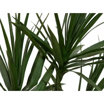 EUROPALMS Dracena Kunstpflanze, Grün, 170 cm 82505799