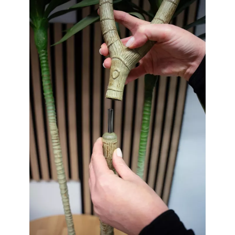 EUROPALMS Dracena Kunstpflanze, Grün, 170 cm 82505799