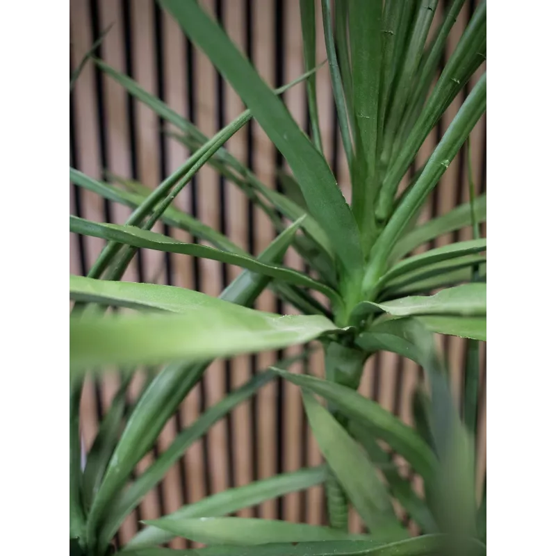 EUROPALMS Dracena Kunstpflanze, Grün, 170 cm 82505799
