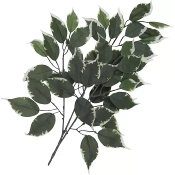 EUROPALMS Künstlicher Ficus-Zweig, 12er-Pack 82506100