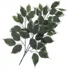 EUROPALMS Künstlicher Ficus-Zweig, 12er-Pack 82506100