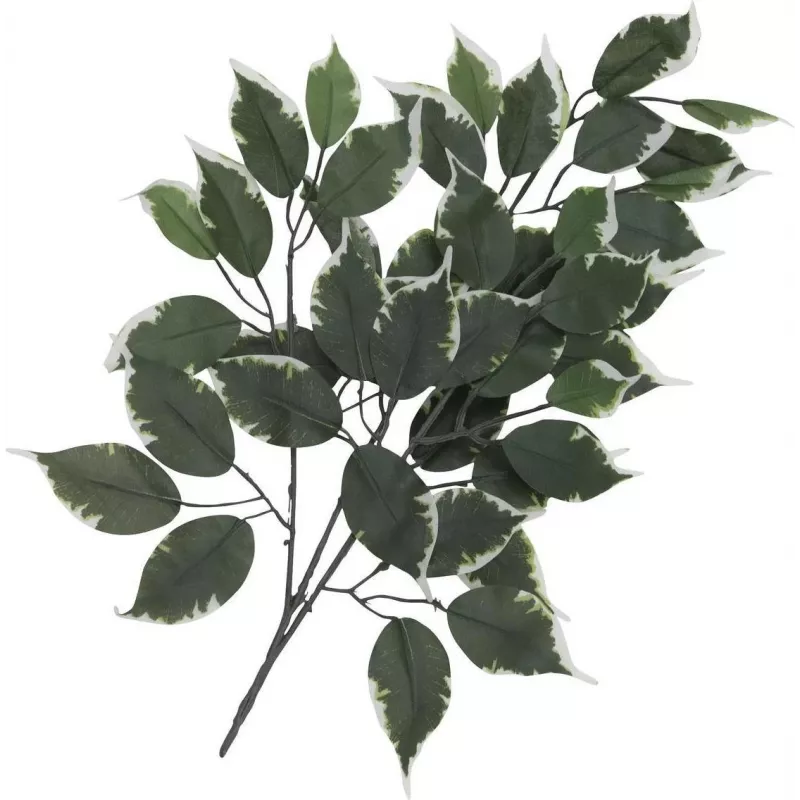 EUROPALMS Künstlicher Ficus-Zweig, 12er-Pack 82506100