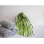 EUROPALMS Künstliches Seegras (EVA), Grün 82531062