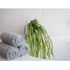 EUROPALMS Künstliches Seegras (EVA), Grün 82531062