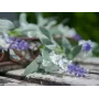 EUROPALMS Künstliche Blumen-Girlande, Weiß, 180cm 82501866