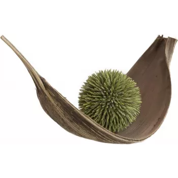 EUROPALMS Sukkulenten-Kugel (EVA), Kunstpflanze, Grün, 20cm 82531071
