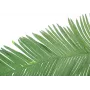 EUROPALMS Künstlicher Kokos-Königspalmenwedel, 180cm 82509847