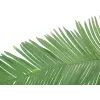 EUROPALMS Künstlicher Kokos-Königspalmenwedel, 180cm 82509847