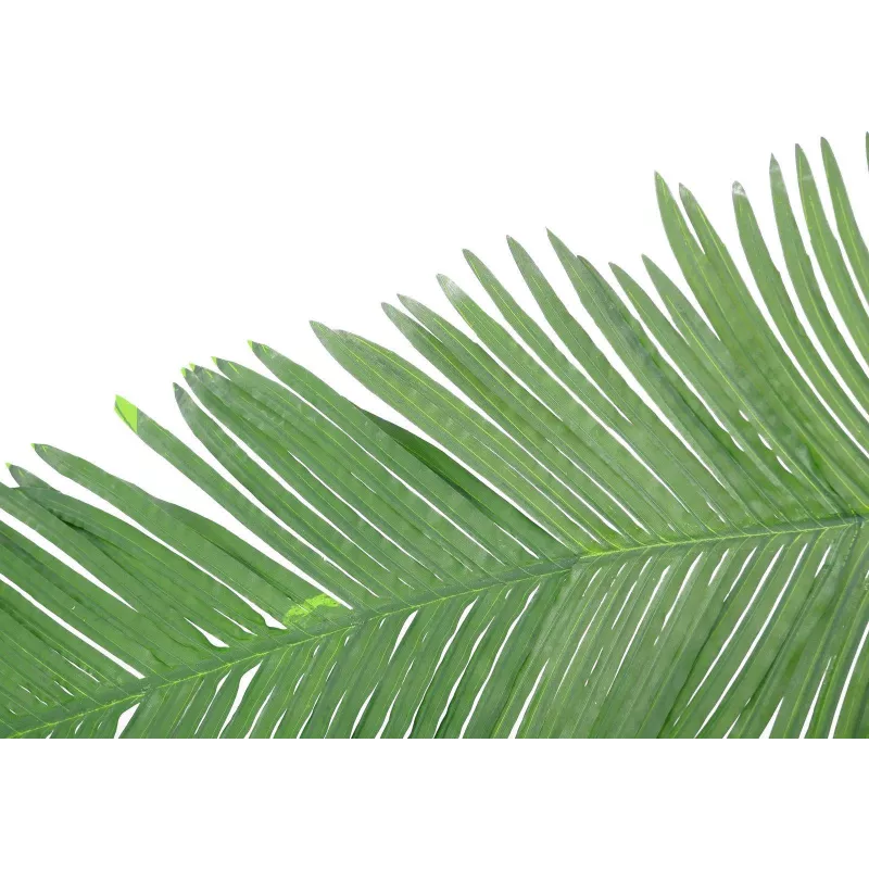 EUROPALMS Künstlicher Kokos-Königspalmenwedel, 180cm 82509847