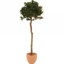 EUROPALMS Künstlicher Lorbeerkugelbaum, 180cm 82506946