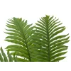 EUROPALMS Cycas Palme Kunstpflanze, 70 cm 82509604