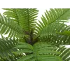 EUROPALMS Cycas Palme Kunstpflanze, 70 cm 82509604