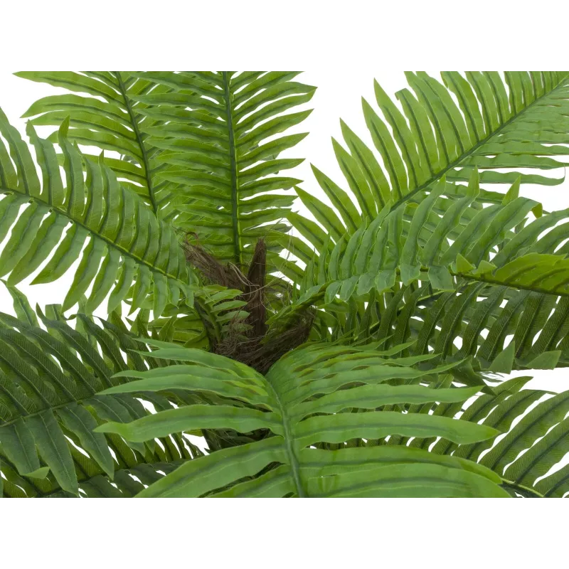 EUROPALMS Cycas Palme Kunstpflanze, 70 cm 82509604