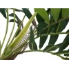EUROPALMS Kunstpflanze Palme, 150cm 82509495