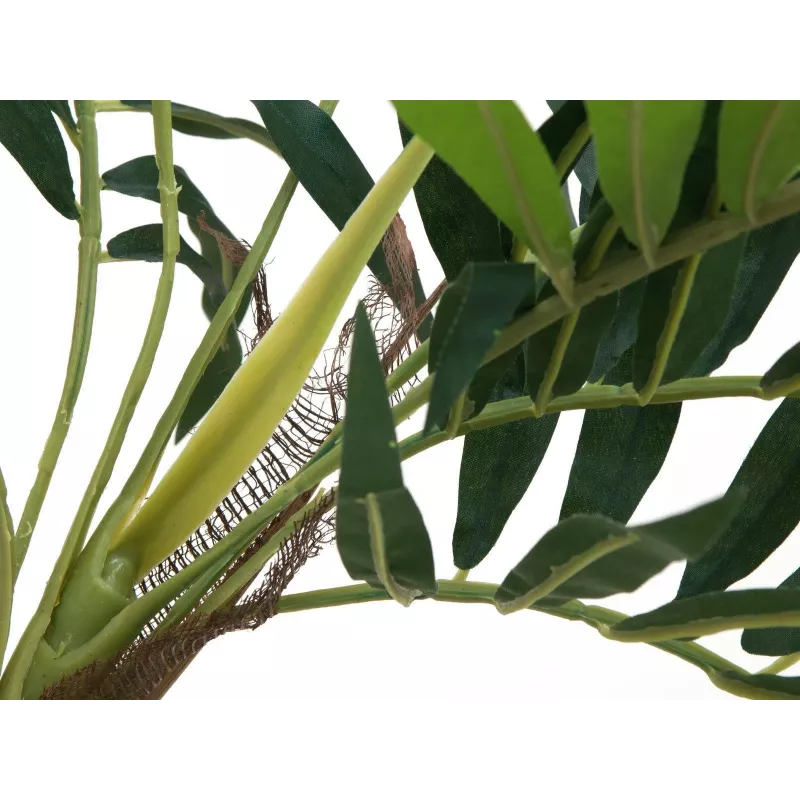 EUROPALMS Kunstpflanze Palme, 150cm 82509495