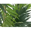 EUROPALMS Kunstpflanze Palme, 150cm 82509495